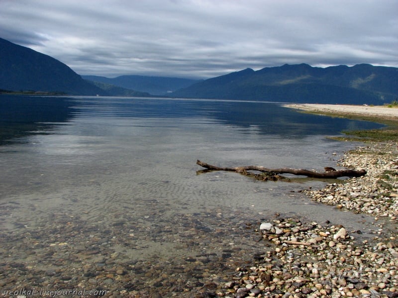 В стране антиподов. Озеро Бруннер / Фото из Новой Зеландии