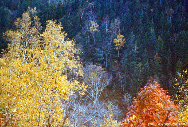 Осень на Сахалине в 1989 году / Россия
