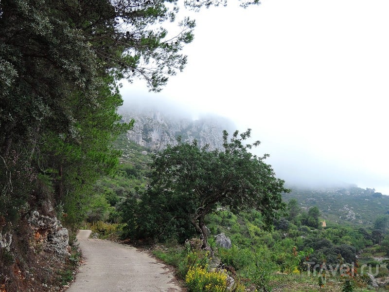 Vall de Gallinera. Скала с аркой (La Peña Foradá) и ежики в тумане / Фото из Испании