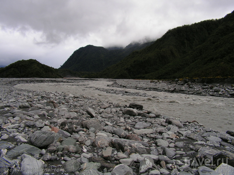 В стране антиподов. Ледник Франца-Иосифа / Фото из Новой Зеландии