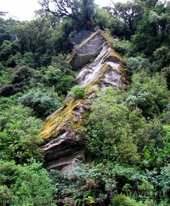 В стране антиподов. Хааст Пасс - древняя тропа Маори / Фото из Новой Зеландии