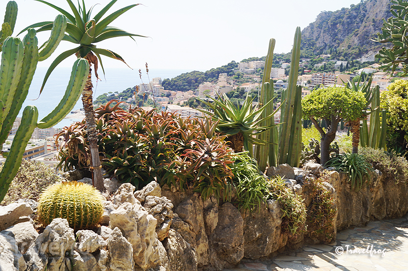 Экзотический парк в Монако / Фото из Монако