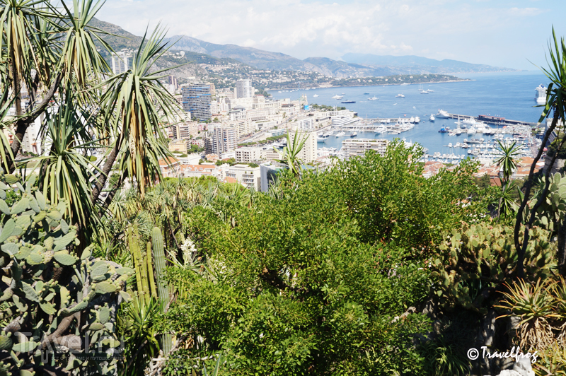 Экзотический парк в Монако / Фото из Монако