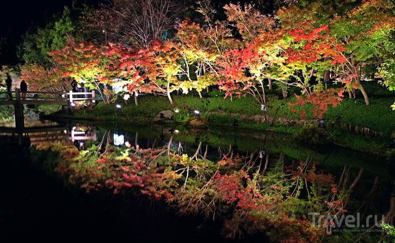 Япония: Фестиваль света - Набана Но Сато / Фото из Японии