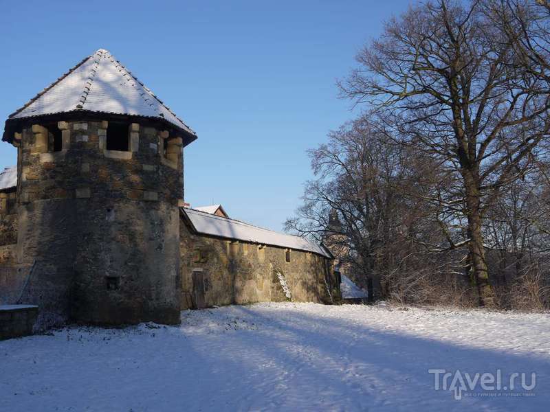 Замок Чоха / Фото из Польши