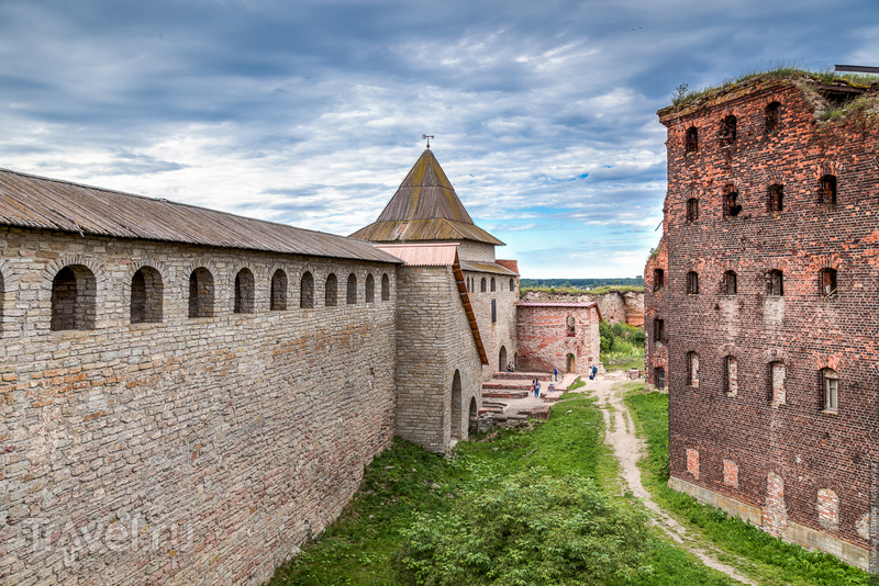 Теплое, яркое и солнечное. Лето в Питере / Фото из России