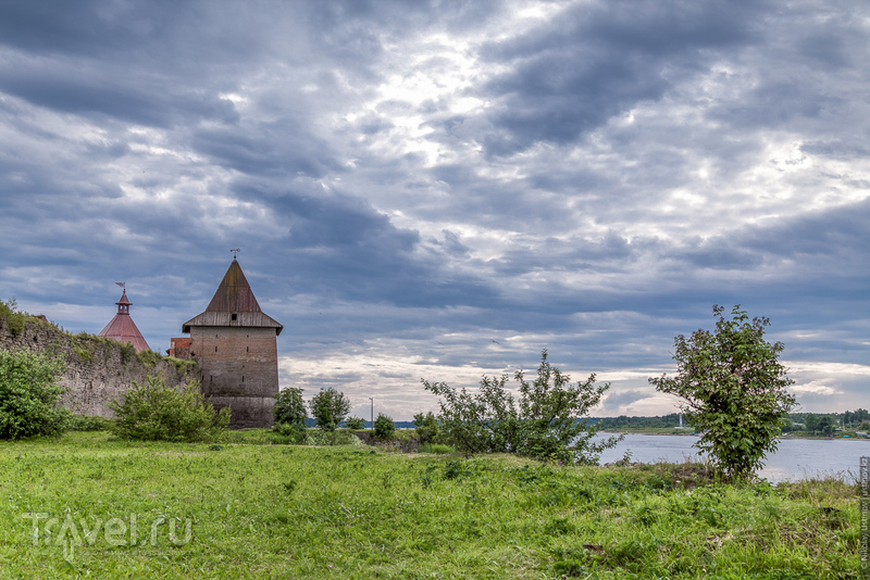Теплое, яркое и солнечное. Лето в Питере / Фото из России
