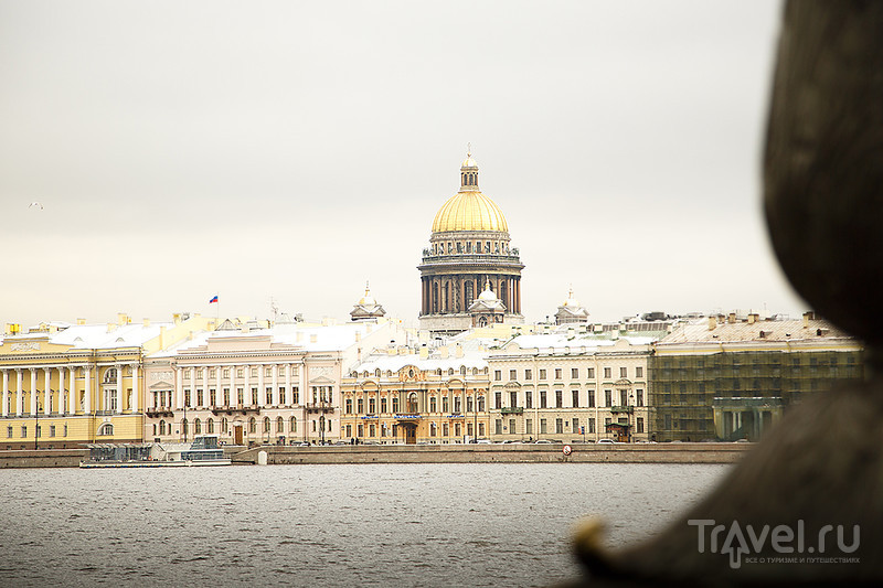 Санкт-Петербург: утро в Astoria Café / Россия