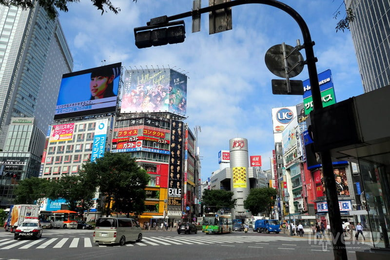 Токио для чайников: все районы за два дня / Фото из Японии