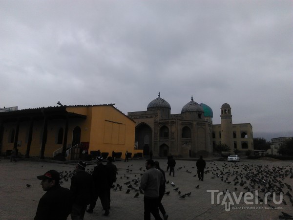 Таджикистан: Худжанд, экскурсия по городу / Таджикистан
