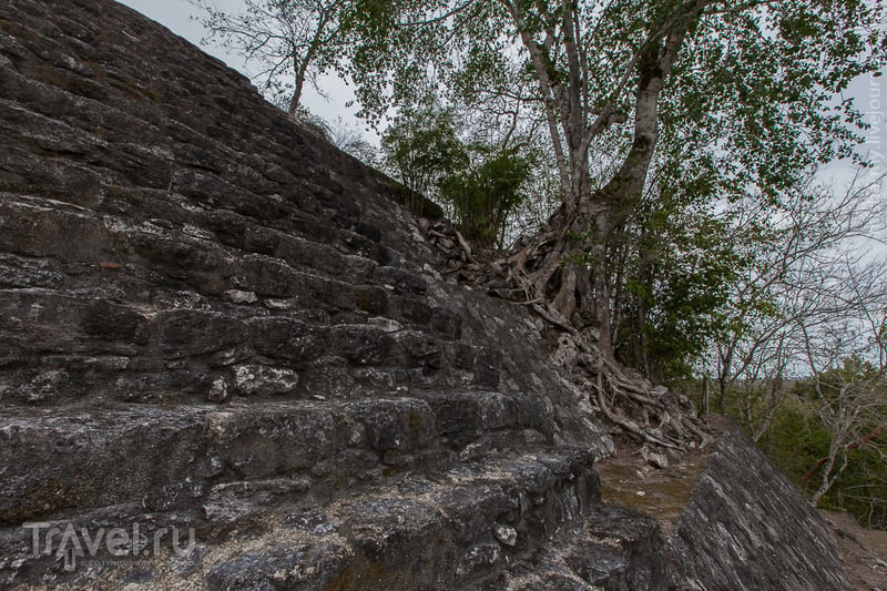 Поездка по Юкатану. Руины Калакмуль / Фото из Мексики