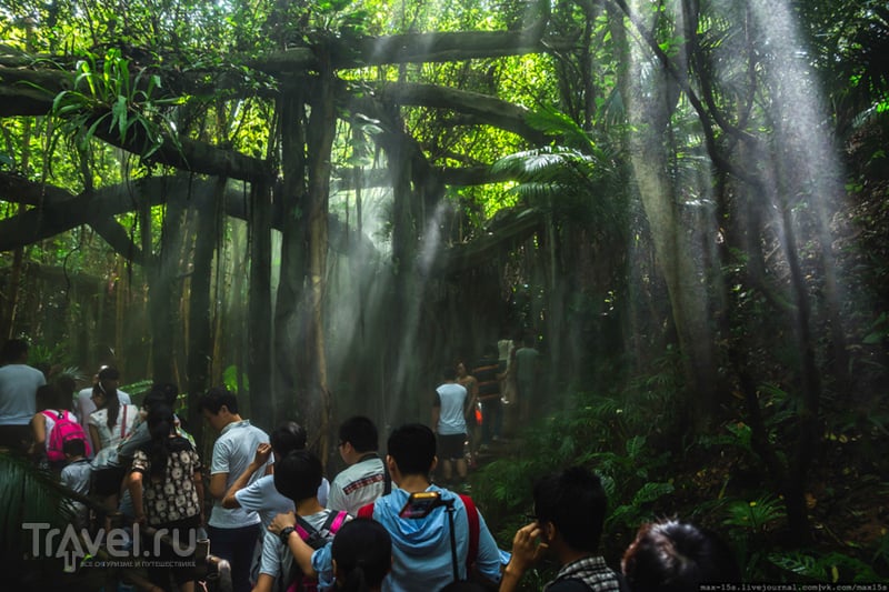 Китай, Шэньчжэнь: Вечнозеленый парк (Evergreen park) / Фото из Китая