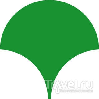 Символ Токио - уникальное дерево / Япония
