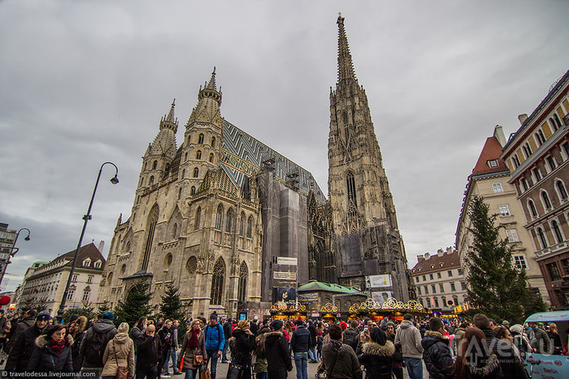 Рождественская Вена под широким углом / Фото из Австрии