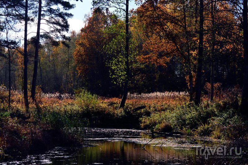 Природа Латвии / Фото из Латвии