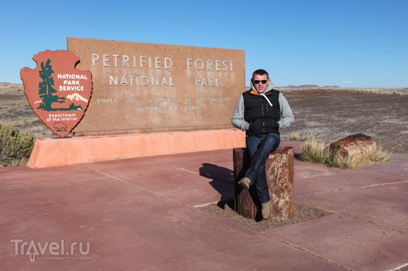 Национальный парк "Petrified Forrest", США / Фото из США