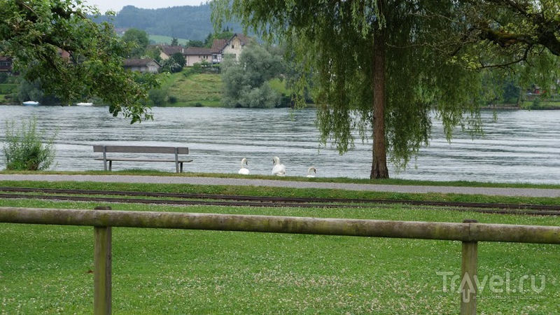 Вдоль по Рейну на теплоходе. От Констанца до Штайн-ам-Райн / Фото из Германии