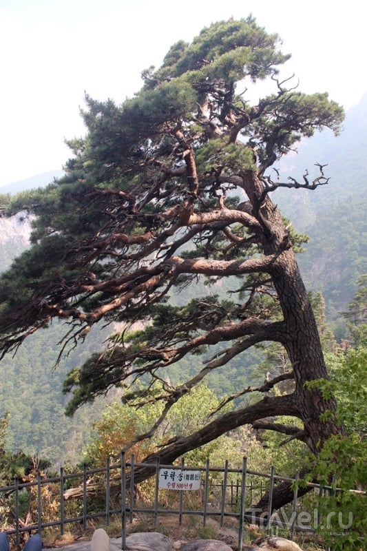Корея: национальный парк Сораксан / Южная Корея