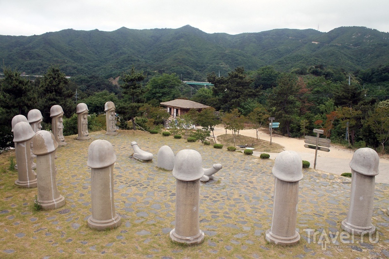 Корея: парк половых членов / Южная Корея