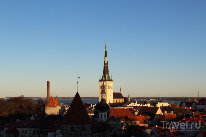 Таллин, декабрь 2015 / Фото из Эстонии