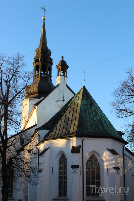 Таллин, декабрь 2015 / Фото из Эстонии