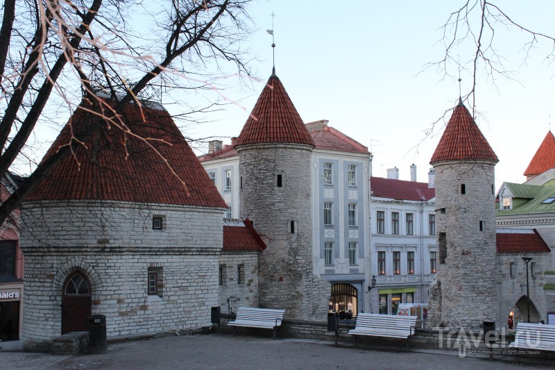 Таллин, декабрь 2015 / Фото из Эстонии