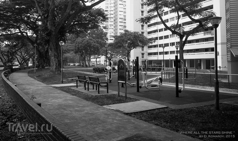 Из Сингапура с подробностями: пешком к East Coast Park / Сингапур