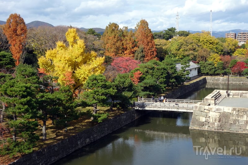 Почему в Японию надо ехать осенью / Фото из Японии