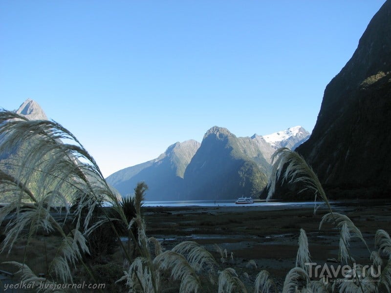 В стране антиподов. Фьорд Милфорд Саунд - одно из чудес света / Фото из Новой Зеландии
