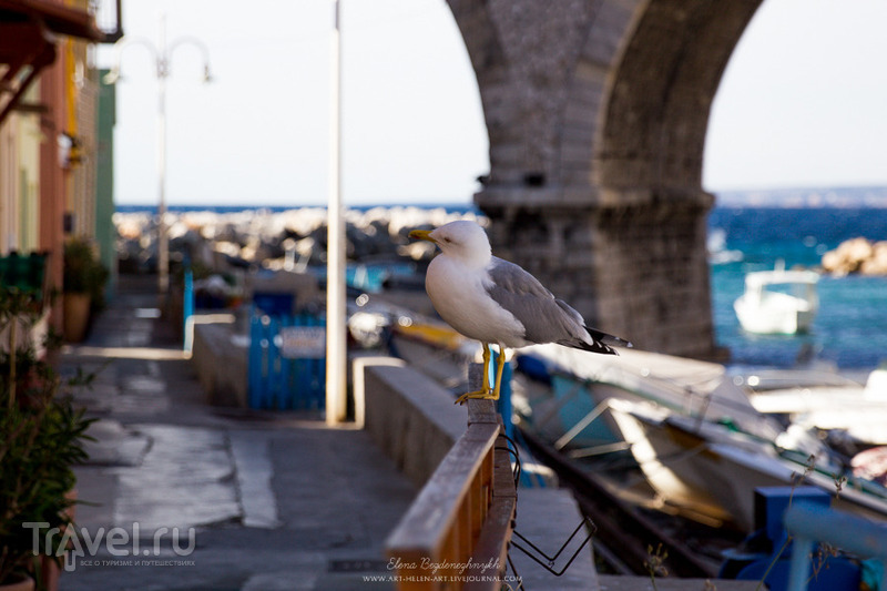 Марсель. Три пляжа и бухта Vallon des Auffes / Франция
