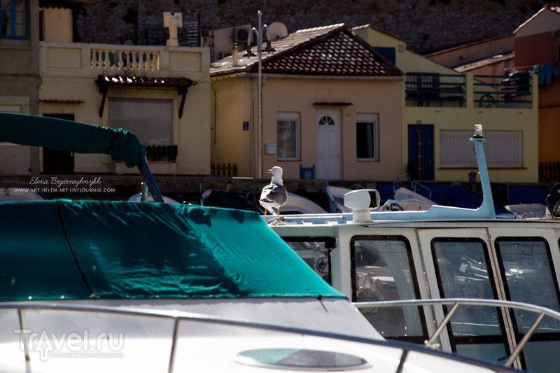 .     Vallon des Auffes / 