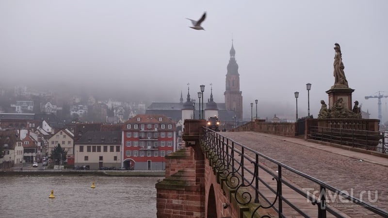 Гейдельберг в тумане / Фото из Германии