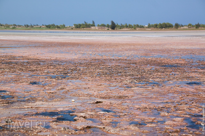 Розовое озеро Ретба и финишная точка ралли Париж-Дакар / Фото из Сенегала