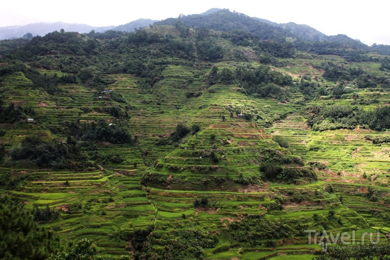 Филиппины: рисовые террасы Банауэ / Филиппины