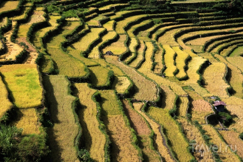 Филиппины: рисовые террасы Банауэ / Филиппины