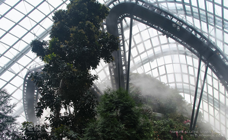 Из Сингапура с подробностями: от вечера до вечера / Сингапур