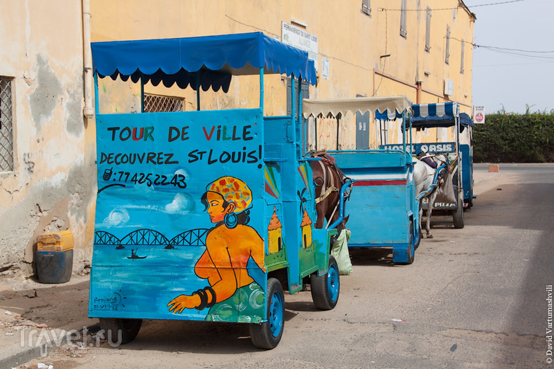 Сен-Луи / Фото из Сенегала