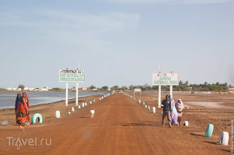 Сенегал и Гамбия. Орнитологический резерват Джудж / Фото из Гамбии