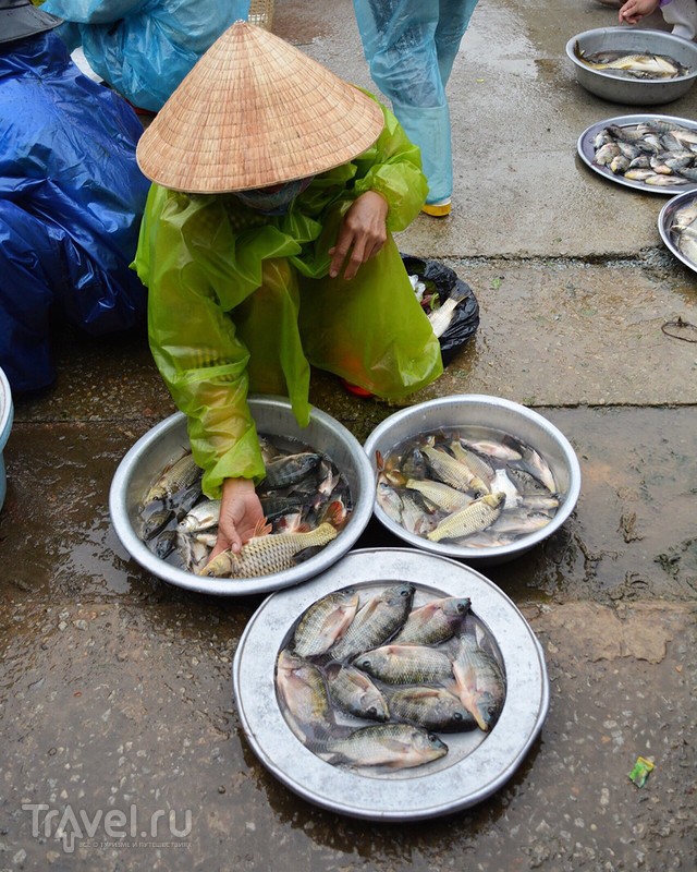 Прогулка по вьетнамскому рынку / Вьетнам