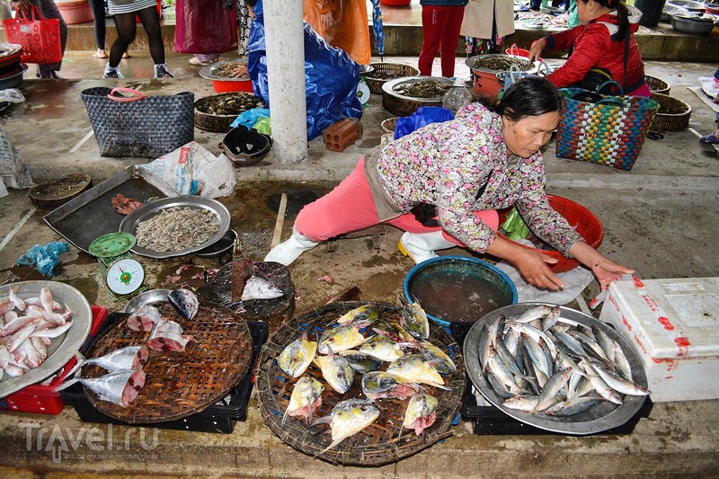 Прогулка по вьетнамскому рынку / Вьетнам
