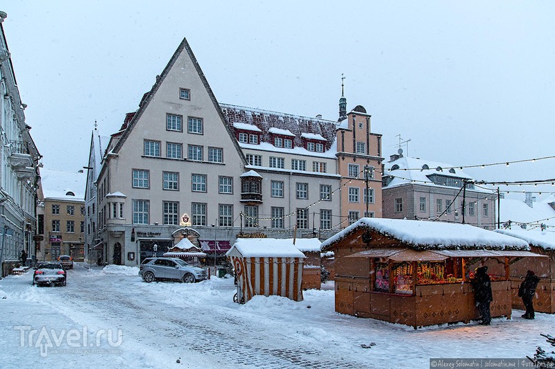 Снежный Таллин / Фото из Эстонии