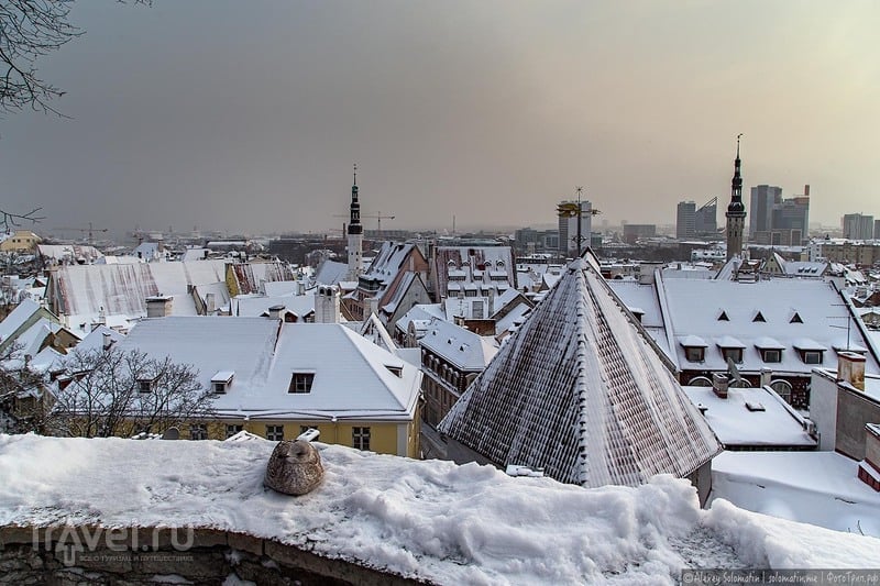 Снежный Таллин / Фото из Эстонии