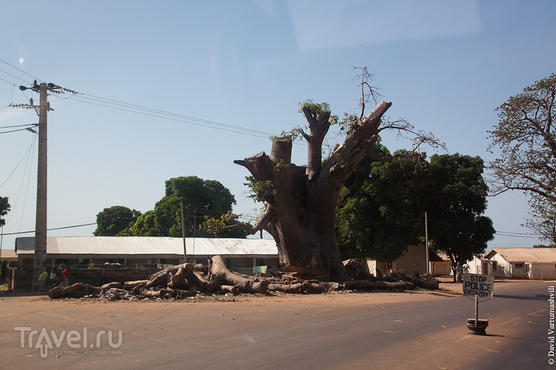 Сенегал и Гамбия. Пересечение границы и переправа через реку Гамбия / Фото из Гамбии