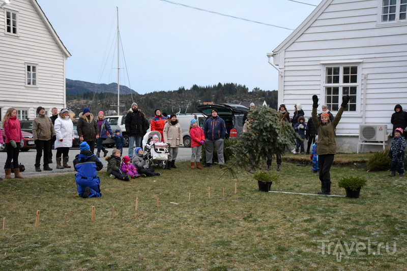 Storm og Stille:       /   