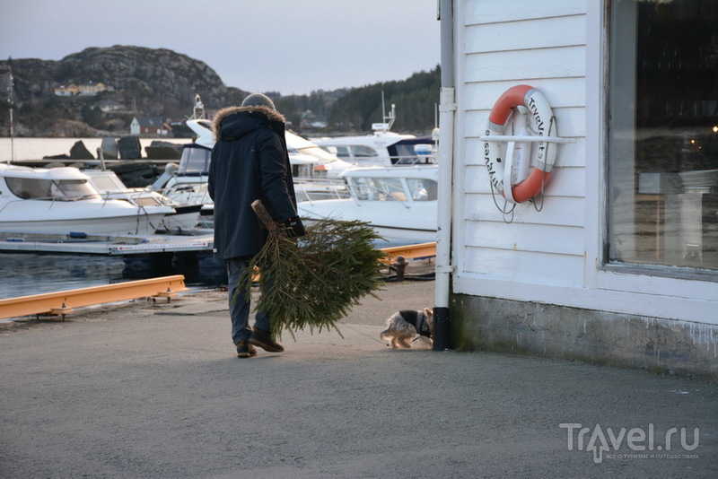 Storm og Stille:       /   