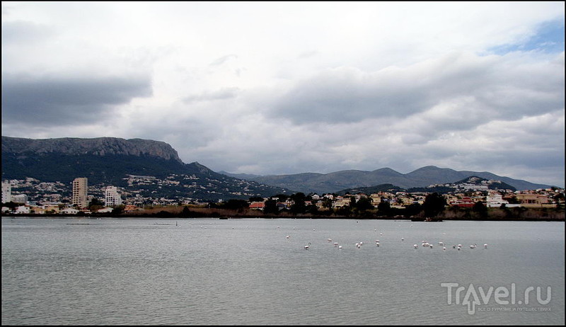 Кальпе. Коста Бланка. Испания. Птицы солёного озера Las Salinas / Фото из Испании