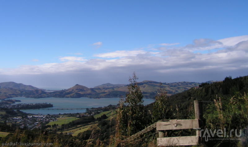 В стране антиподов. Вид на полуостров Отаго с высоты птичьего полета / Фото из Новой Зеландии