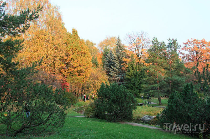 Золотая осень в Ботаническом саду / Фото из России
