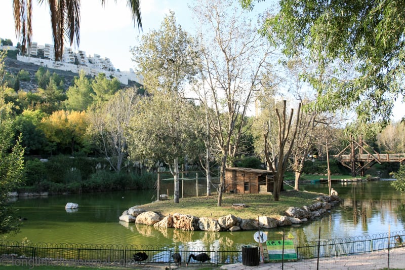 Библейский зоопарк в Иерусалиме / Израиль