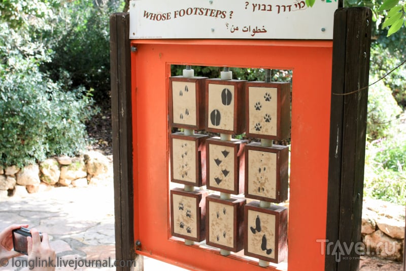 Библейский зоопарк в Иерусалиме / Израиль